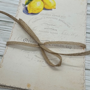 Páginas de Junk Journal - 12 páginas de diario basura El diario de limonada suministra papeles de scrapbooking efímeros diario basura