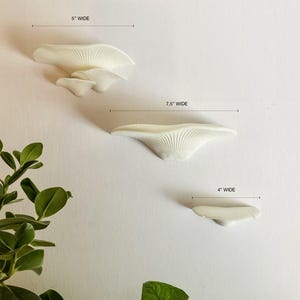 May include: Three white ceramic wall shelves in the shape of a mushroom, with measurements of 4 inches wide, 7.5 inches wide, and 5 inches wide.