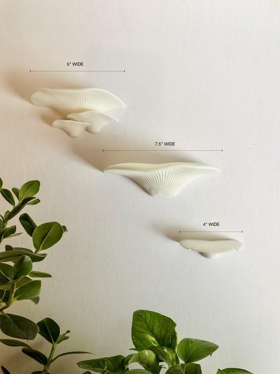 Mushroom Wall Shelf Set – Fairy Room Decor, Wall Art, Cute Woodland Storage, 3D Printed Shelf, Trippy Home Decor, Boho Wall Display