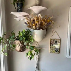 May include: A set of three white ceramic mushroom-shaped wall planters with a dried flower arrangement in the largest planter. The planters are mounted on a white wall with a small potted cactus above the largest planter.