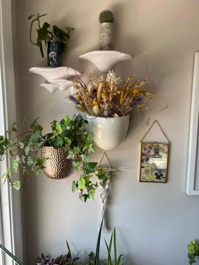 May include: A set of three white ceramic mushroom-shaped wall planters with a dried flower arrangement in the largest planter. The planters are mounted on a white wall with a small potted cactus above the largest planter.