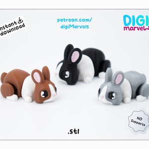 Flexi Tiny Rabbit STL: Articulated 3D Print Toy + Keychain (3MF File, Personal Use)