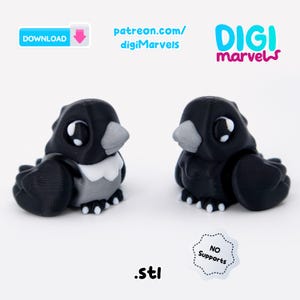 Peut inclure: Deux petites figurines d'oiseaux stylis&eacute;es noires et grises avec de grands yeux et des accents blancs. L'image inclut le texte DOWNLOAD, patreon.com/digiMarvels, DIGI marvels, .stl, et un badge indiquant NO Supports pour l'impression 3D.