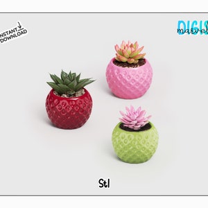 Può includere: Tre piccole piante grasse in vasi geometrici colorati. I vasi sono rosso, rosa e verde. I vasi hanno una superficie testurizzata e con fossette. Le piante sono tutte di diversi tipi di piante grasse.