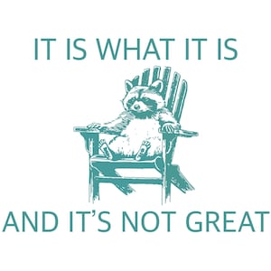 It is what it is and it’s not great svg png, raccoon svg png, funny svg png