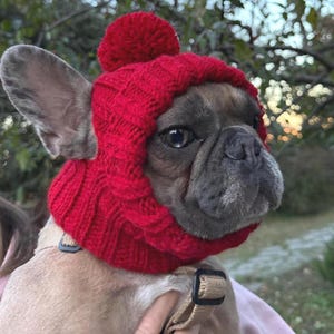 May include: A French Bulldog wearing a bright red knitted hat with a matching pom-pom. The hat covers the dog's ears and head, with a strap around the neck. The dog has a gray and tan coat.