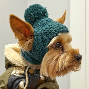 May include: A small dog wearing a teal knitted hat with a pom-pom and a green and black jacket. The dog has brown fur and is looking to the right. The jacket has a cream-colored lining and a bear design.