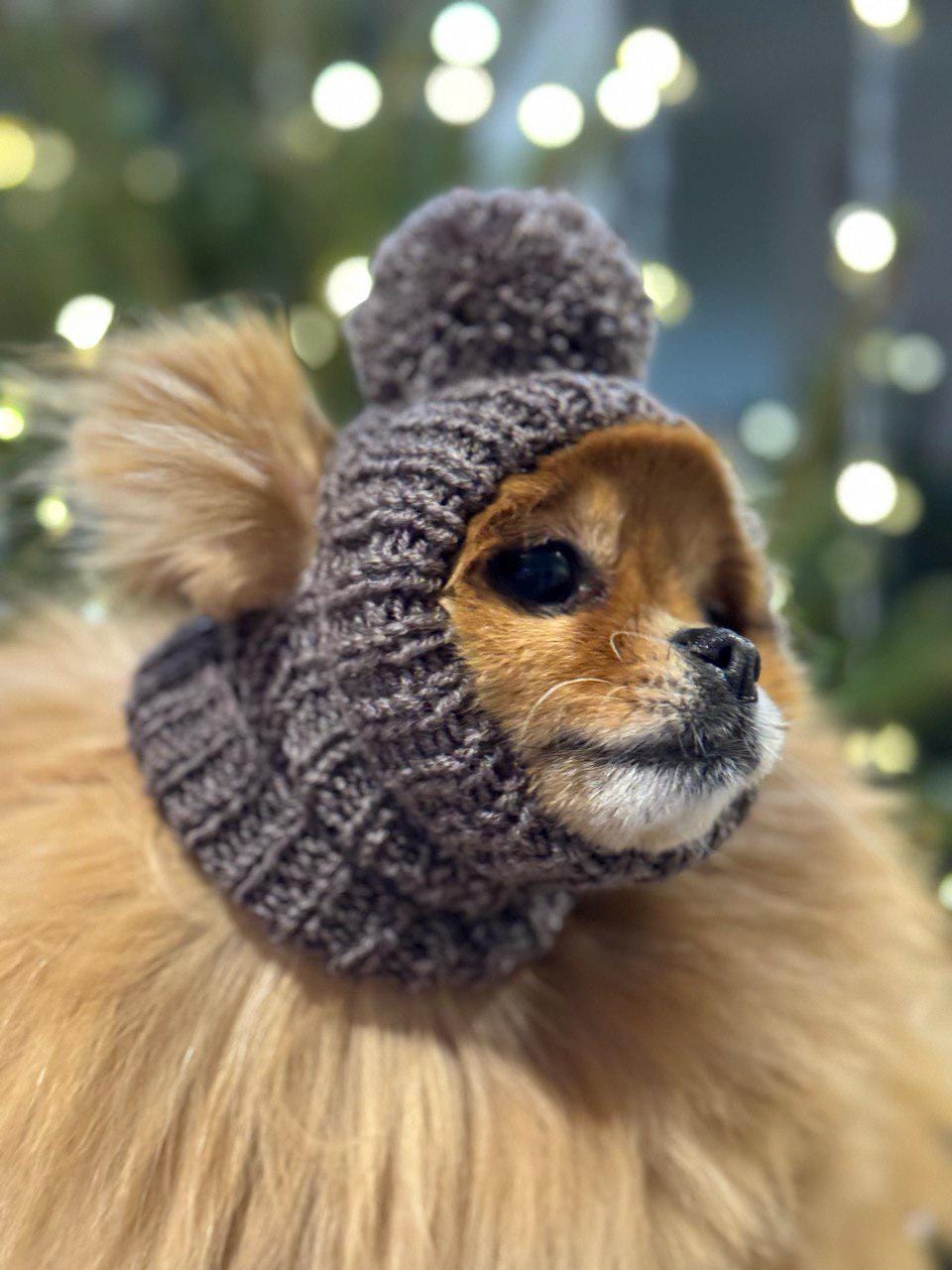 Dog Winter Pom-pom Hat - Crochet Brown Snood With Ear Holes & Neck