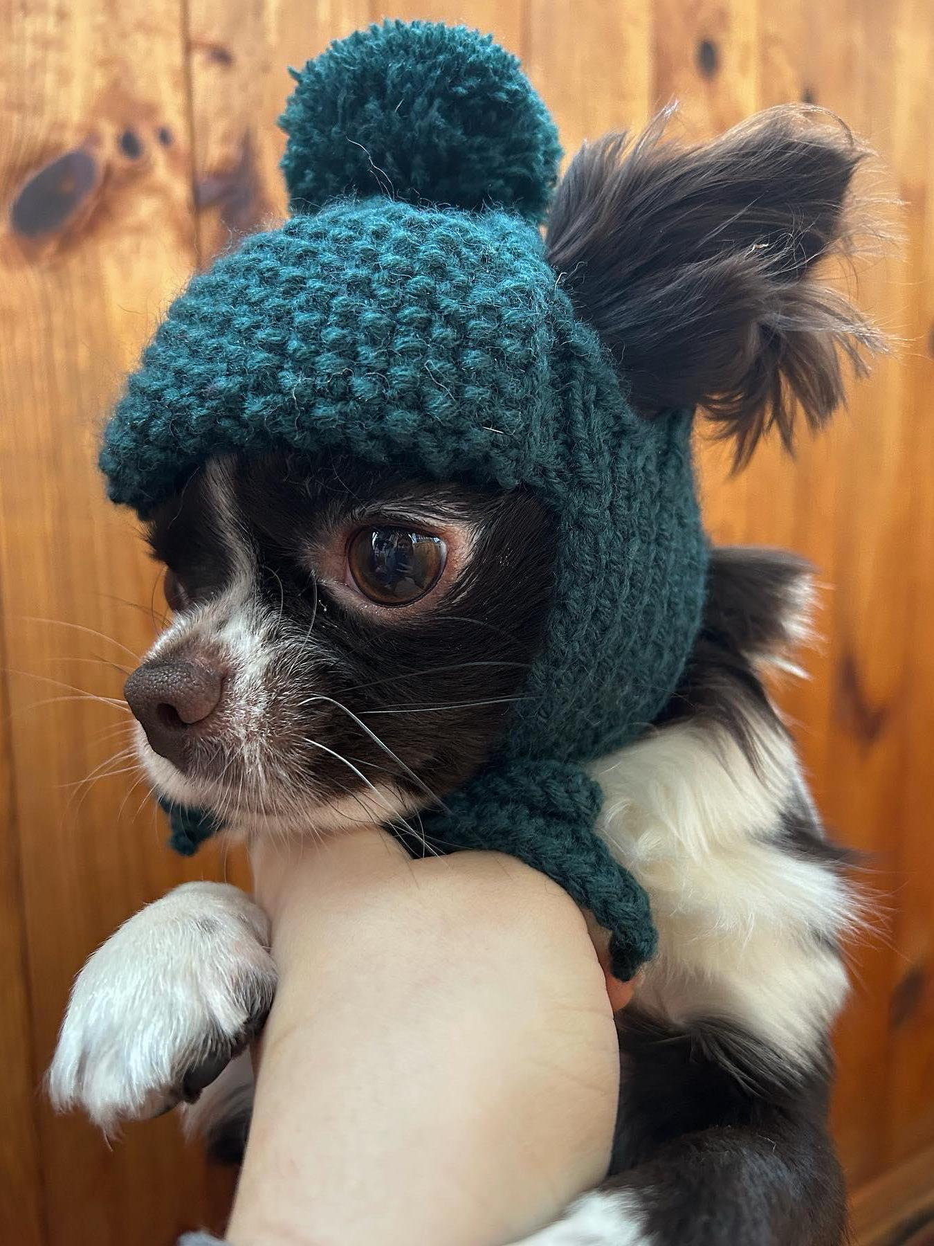 Knit Dog Hat With Ear Holes Pattern Free Walbest Dog Hat For Small