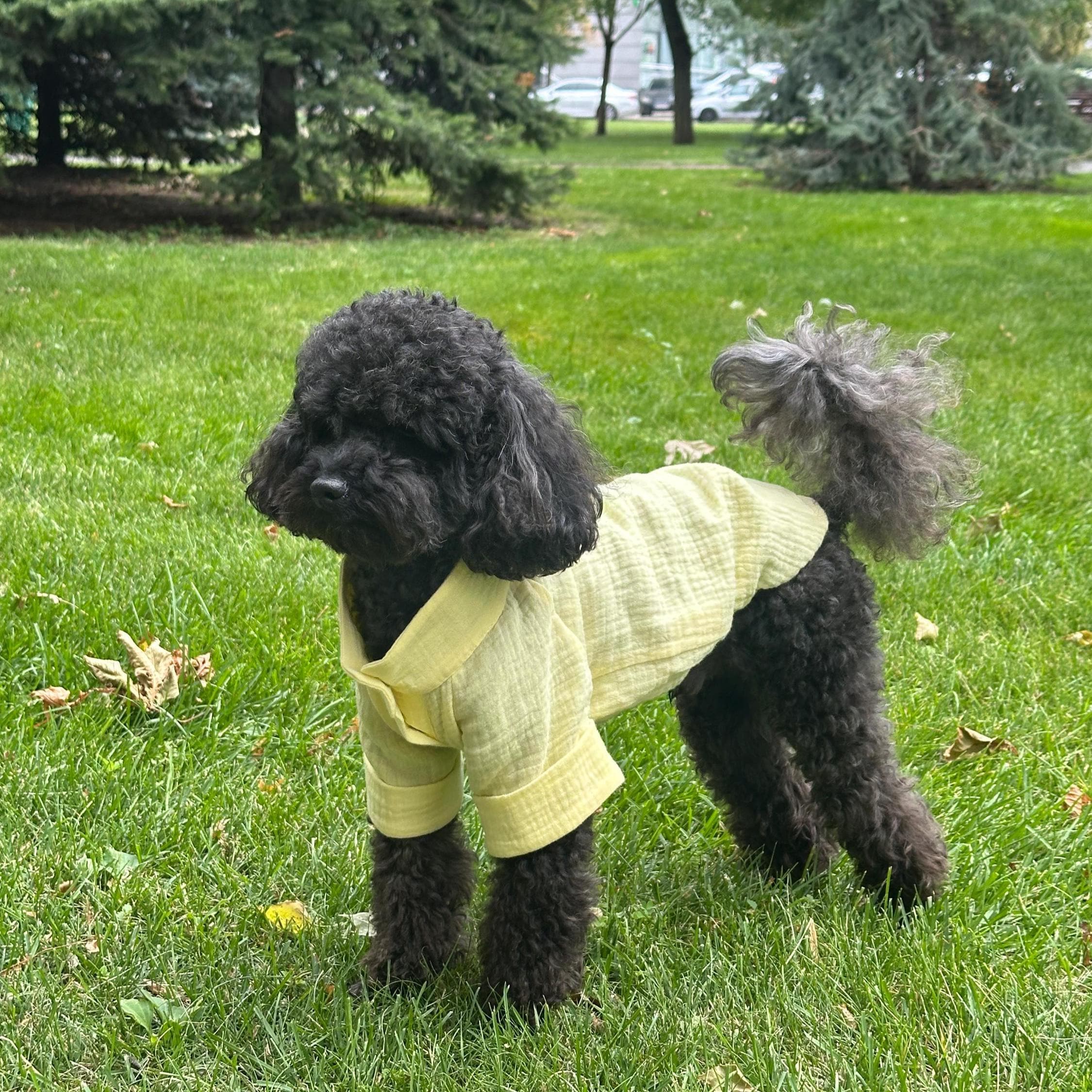 Standard Poodle Poodle Dog Clothes Dog Clothes Jersey For Shih Tzu