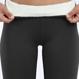 Fleece Lined Leggings Fake Translucent, Warm Thermal Thick Fall Winter  Tights With Adjustable Tummy Control Top 