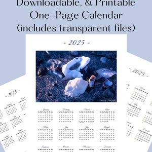 Downloadable 2025 Calendar Transparent PNG Calendar PNG \ Calendar 2025 Instant Downloads Calendar | Transparent Background Calendar-jpg