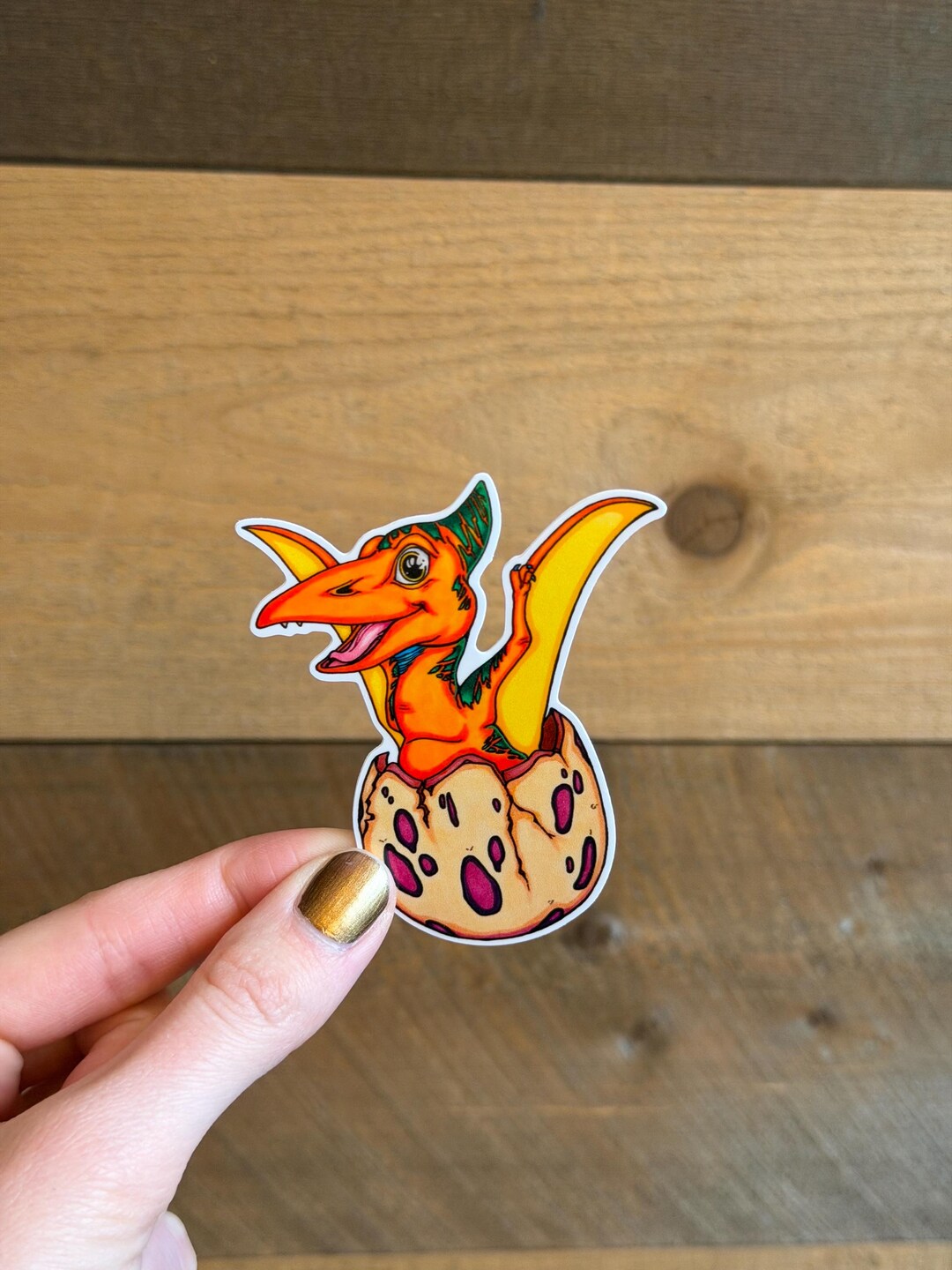 Baby Pterodactyl: Waterproof Vinyl Sticker, Original Artwork - Etsy