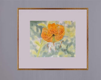 Turks Cap Lily Watercolor Painting Digital Download
