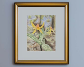 Trout Lily Watercolor Painting Digital Download