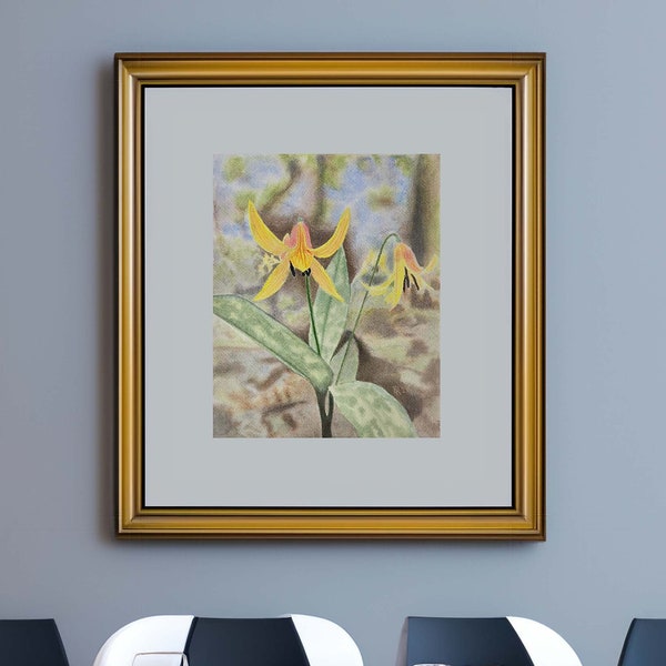 Trout Lily Watercolor Painting Digital Download