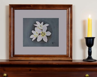Virginia Spring Beauty Watercolor Painting Digital Download