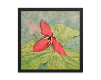 Red Trillium Framed Poster