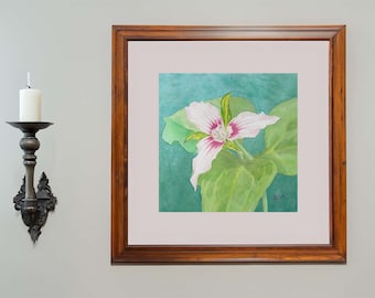 Painted Trillium Watercolor Painting Digital Download