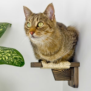 Pine Wood Cat Wall Steps with Scratcher: Modern Floating Cat Furniture