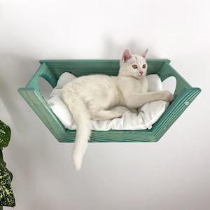 Türkisfarbenes Katzen-Regal mit sechseckiger Form: Wandmontiertes Katzenbett mit Kissen