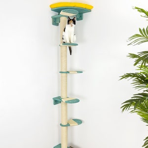 May include: A teal blue cat tree with a yellow platform and sisal scratching post. The cat tree is mounted on a wall and has multiple platforms. A cat is sitting on one of the platforms.