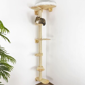May include: A corner cat tree with a natural wood finish and sisal rope scratching posts. The cat tree has multiple platforms and a top perch with a soft cushion. A cat is sitting on one of the platforms.