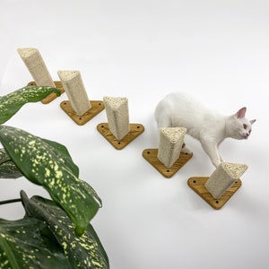 Rustic Cat Steps (Set of 5): Natural Wood Wall Climbing Shelves