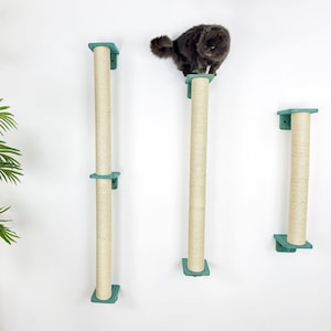 May include: Three wall-mounted cat scratching posts with sisal rope covered posts and teal green bases. The posts are mounted on a white wall.