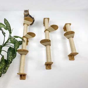 May include: A multi-level cat tree with beige sisal scratching posts, wooden platforms, and a resting cat. The cat tree is mounted on a white wall. A large green plant is in the lower left corner.