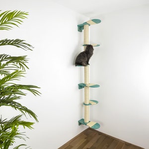 May include: A teal and beige cat tree with a sisal scratching post and multiple platforms. A cat is sitting on one of the platforms.