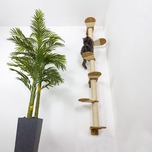 May include: A gray cat climbing a tall, beige cat tree with sisal rope scratching posts and multiple platforms. The cat tree is mounted on a white wall. A potted green palm tree is in the foreground.