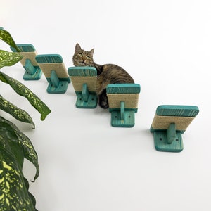 Rustic Wood Cat Steps (Set of 5): Wall Climbing Furniture