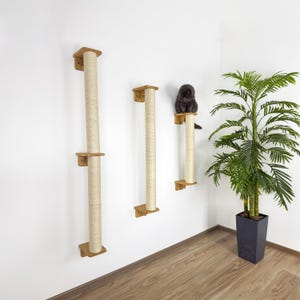 May include: Three wall-mounted cat scratching posts with a natural sisal rope texture and wooden platforms. A gray cat sits on the smallest post. The posts are different heights and are attached to a white wall. A potted palm tree is in the corner.
