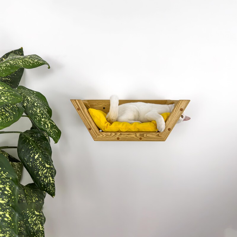 Curated visual reference: Pet Furniture Photo Inspiration