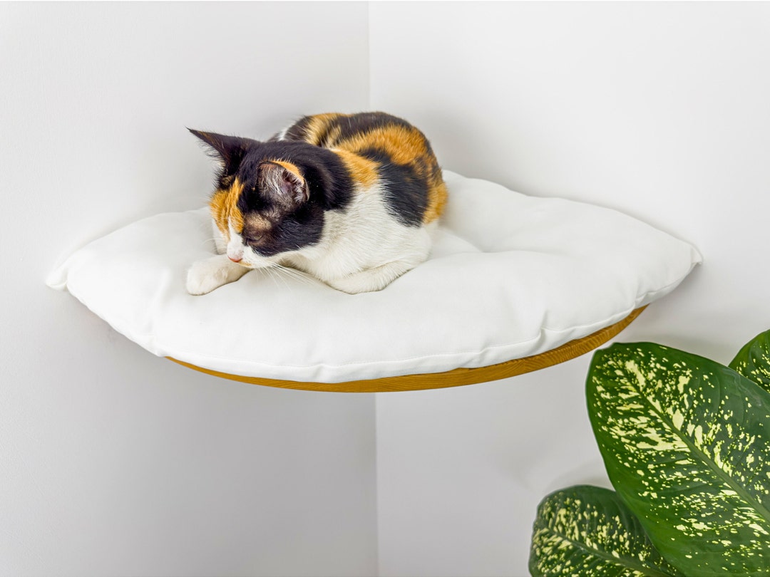 Cat Wall Bed Corner Wall Mounted Bed for Cats Play Furniture Floating ...