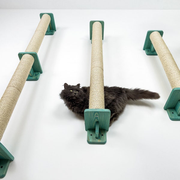 Scratching Posts Cat Climbing Wall Turquoise Wood Cat Scratcher Play Furniture Gifts For Cats Tree Furniture For Cats Unique Wall Scratcher