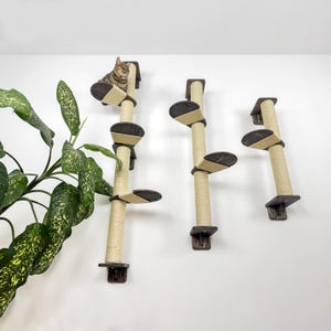 May include: Three wall-mounted cat trees with sisal rope covered posts and wooden platforms. The tallest cat tree has a cat sitting on the top platform.