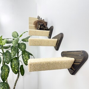 Rustic Cat Shelf Set: Natural Wood Climbing Steps, Sisal Rope