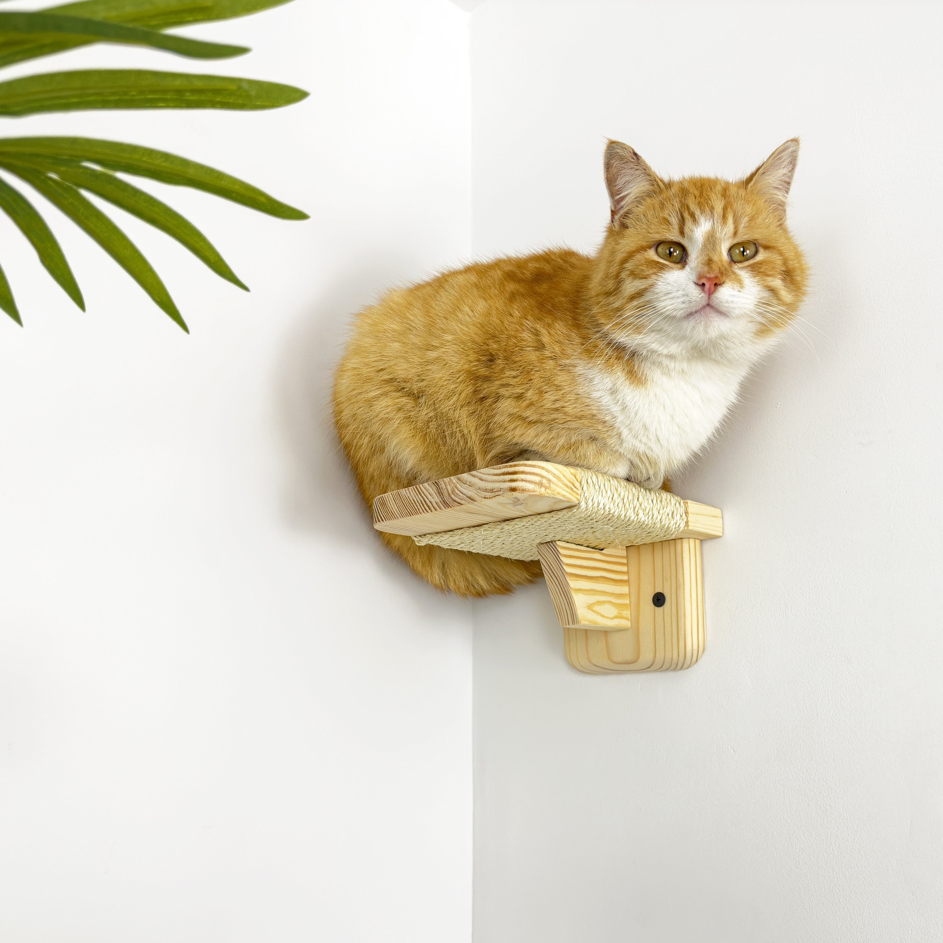 Modern Pine Wood Cat Floating Steps With Sisal Scratcher