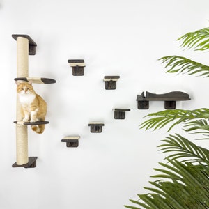 Modern Pine Cat Wall Furniture Set: Tree, Bed, Scratch Tower & Steps