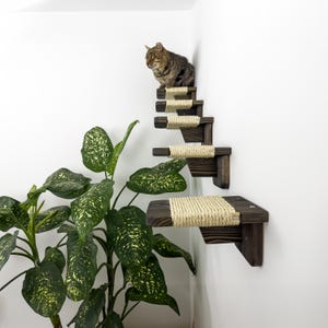 Rustic Wood Cat Steps: Wall Mounted Cat Shelves, Set of 5