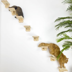 Pine Wood Cat Wall Steps: Modern Play Furniture Set