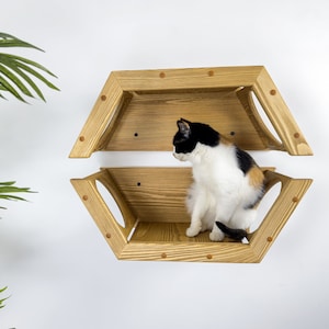May include: A wooden cat shelf with two levels, featuring a triangular design and a cat sitting on the lower level. The shelf is made of natural wood with a light brown finish.