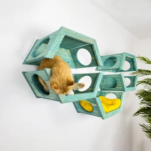 Hexagon Cat Wall Bed Set: Pine Wood Cat Perch & Shelves