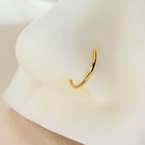 Titan Nasenreifen Clicker Ring, 20g Gold zierlicher Nasenring Piercing, schlichter Gold Nasenring Körperschmuck