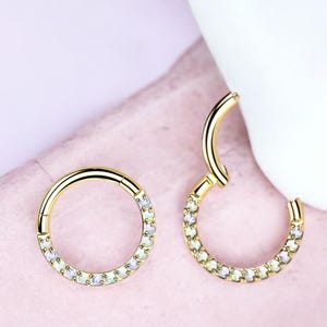 Titanium Septum Clicker Ring, 16g Dainty Gold Septum Hoop Ring, Opal Gem Hinged Segment Septum Piercing Jewelry, Nose Piercing Jewelry