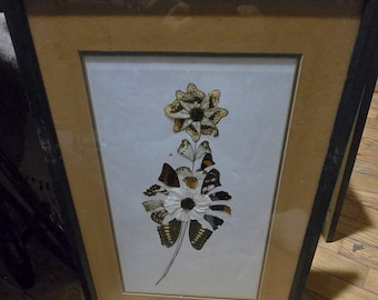 Vintage Butterfly wing framed art Floral Flower Framed