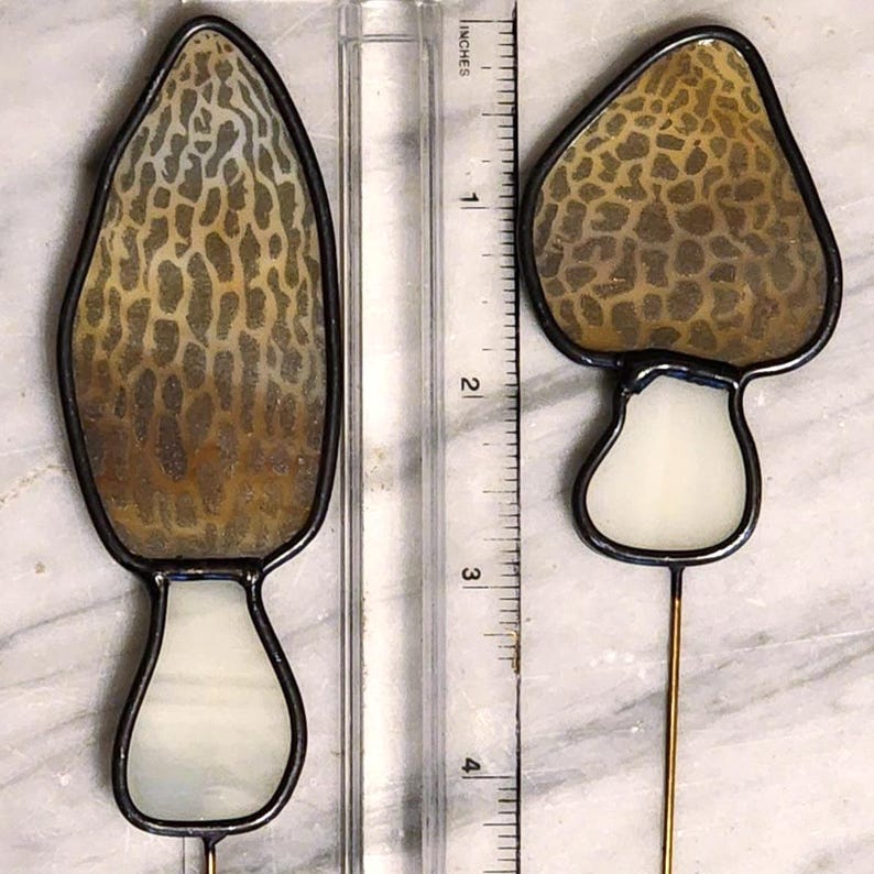 Elegant Morel Mushroom Glasses Images