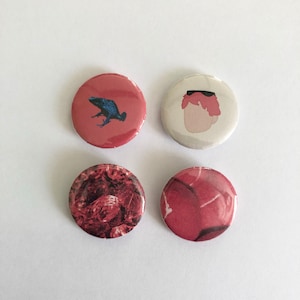 Conjunto de 4 insignias de propiedad intelectual para parques acuáticos